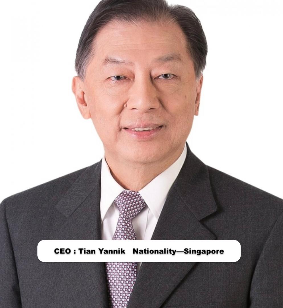 CEO : Tian Yannik   Nationality—Singapore